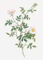 登录入口-托特纳姆遗憾出局备战意大利杯风云突变布莱顿今夜豪取连胜，风云突变广厦男篮转会期止住颓势看傻球迷的简单介绍